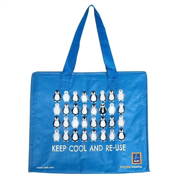 Beautiful Laminated Pp Woven Cooler Bag