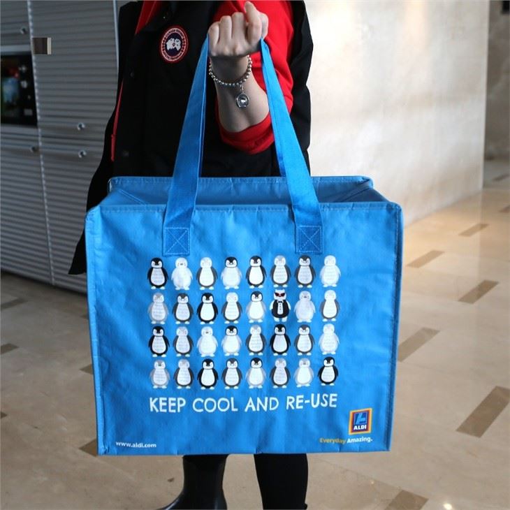 Beautiful Laminated Pp Woven Cooler Bag
