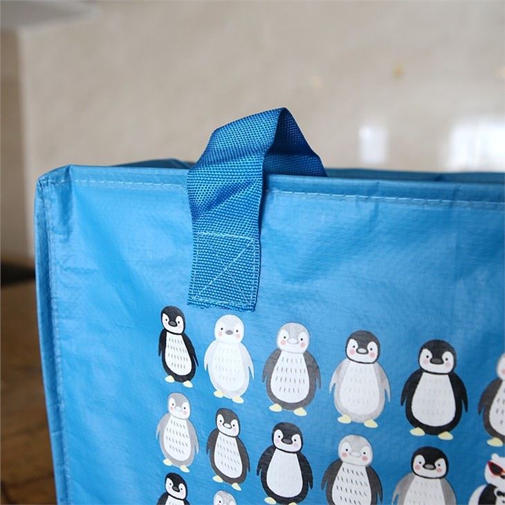 Beautiful Laminated Pp Woven Cooler Bag