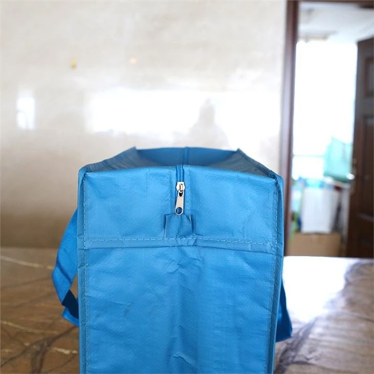 Beautiful Laminated Pp Woven Cooler Bag